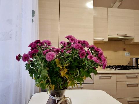 квартира за адресою Івана Франка вул., 5