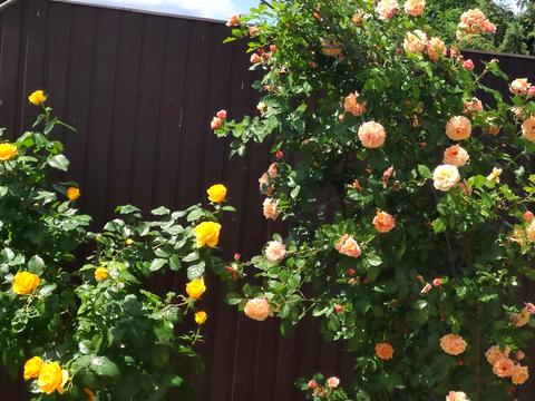 будинок за адресою Приозерна вул.