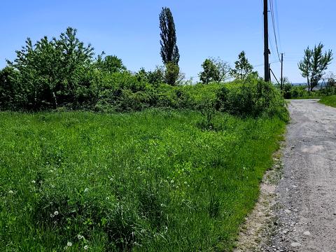 ділянка за адресою Рибна