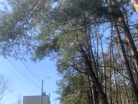 будинок за адресою Північна вул.