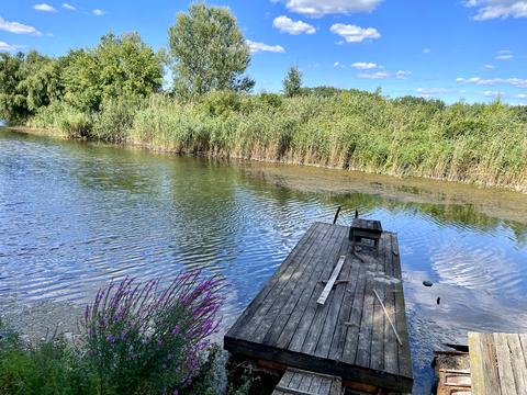 будинок за адресою Підгородне, Низова