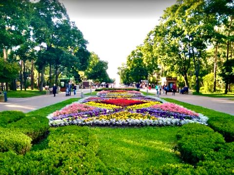 квартира за адресою Алішера Навої просп., 57