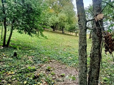 дом по адресу с. Калиновка, Центральна, 1