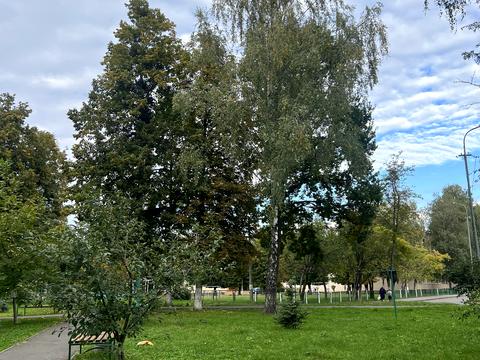 квартира за адресою Відродження просп., 20