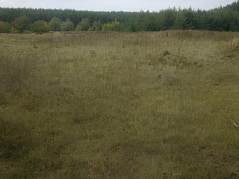 ділянка за адресою Молодежная