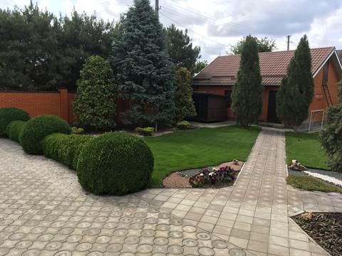 дом по адресу Измаила Срезневского ул. (Бєлінського)