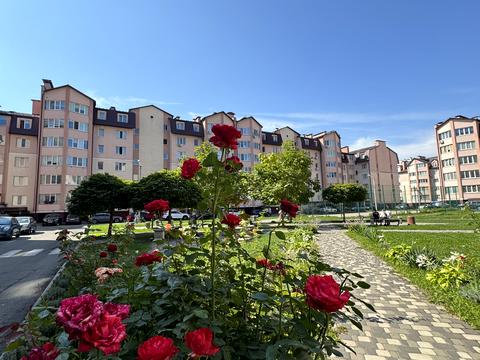 квартира по адресу Боголюбова, 5
