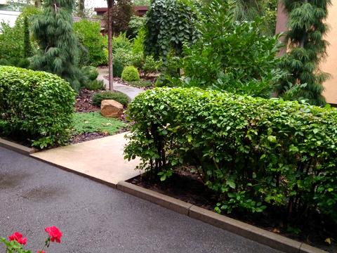 комерційна за адресою Коломийський пров., 20