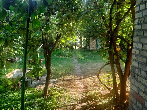 дом по адресу Садова, 54