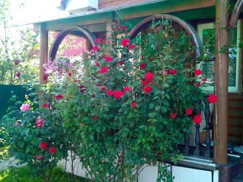 будинок за адресою Орхідейна, 1