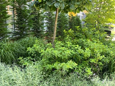 квартира за адресою Марсельська вул., 33в