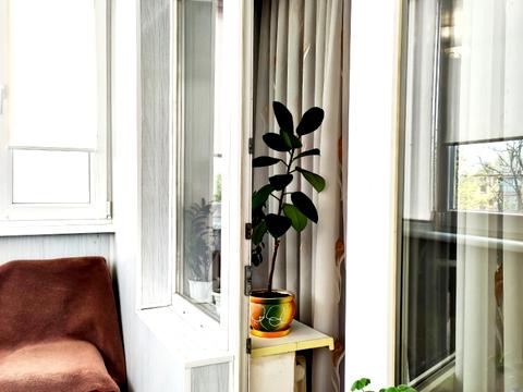 квартира по адресу Франтишека Крала ул., 31