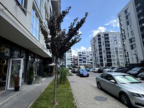 комерційна за адресою Трускавецька вул., 2