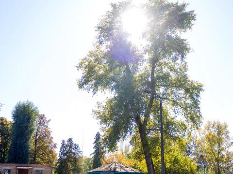 коммерческая по адресу Чоповського, 34