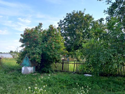 дом по адресу Миру, 45