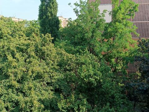 квартира по адресу Героев Сталинграда просп., 138а