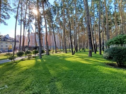 комерційна за адресою Виговського вул. (Суворова), 1-Т
