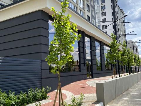 комерційна за адресою Олекси Тихого пров., 2