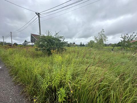 ділянка за адресою вул.Лісова