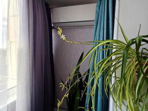 квартира по адресу Запорізька ул., 21