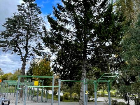 квартира по адресу Вышгородская ул., 45