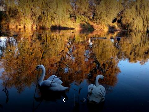 будинок за адресою Квітуча