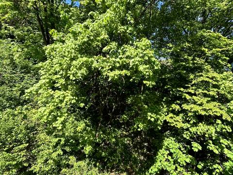 квартира за адресою Івана Франка вул., 124