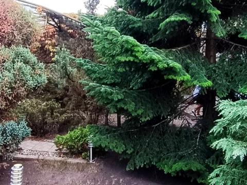 будинок за адресою Дачна вул., 8а