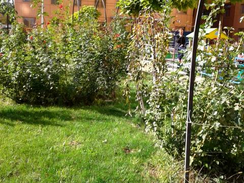 квартира за адресою Юрія Кондратюка вул., 3