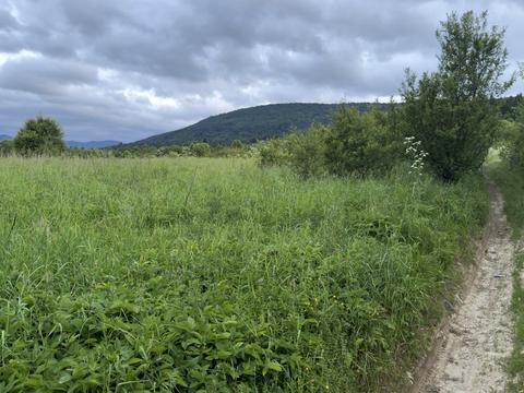 ділянка за адресою Січових Стрільців