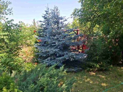 квартира за адресою Степовая, 41