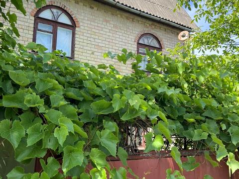 будинок за адресою Трояндова вул.