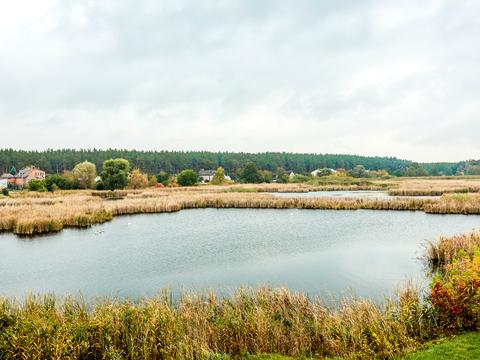 комерційна за адресою Риболовецька вул., 1