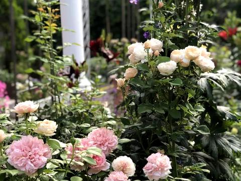 будинок за адресою Чаплинська вул.