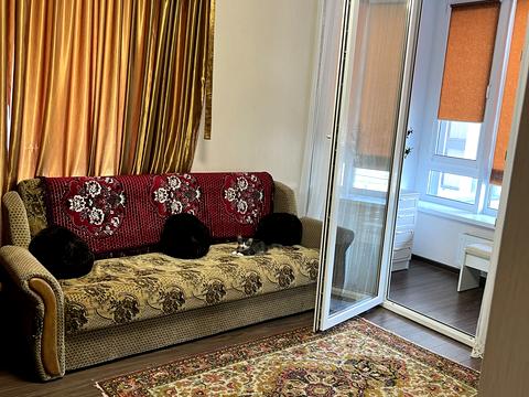 квартира по адресу Заречная ул., 4к1