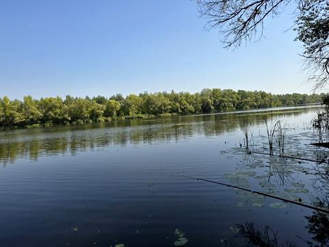 ділянка за адресою смт. Царичанка, 
