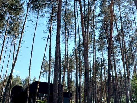 будинок за адресою Лугова