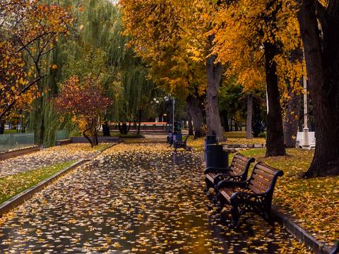 квартира за адресою Стуса, 35