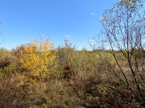 участок по адресу ЛУГОВА