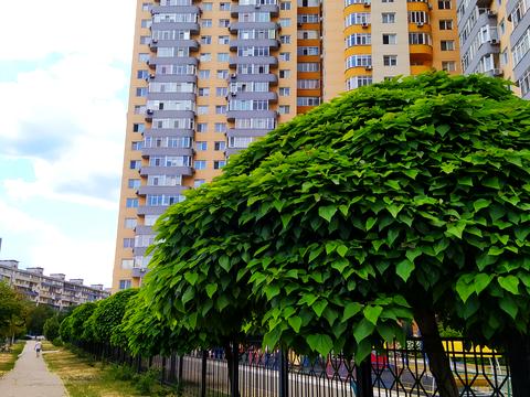 квартира за адресою Юрія Кондратюка вул., 7