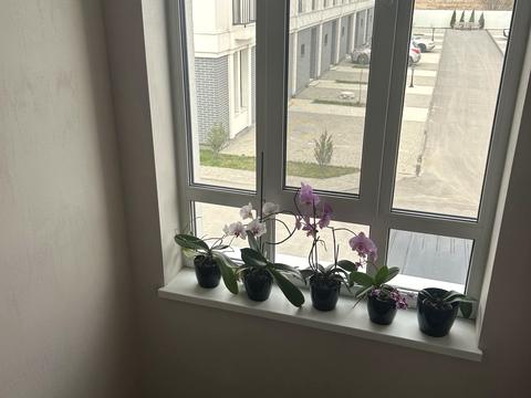 дом по адресу Каневская ул.