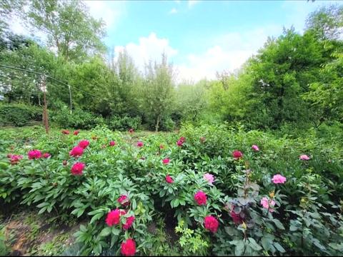 дом по адресу Шевченка, 38