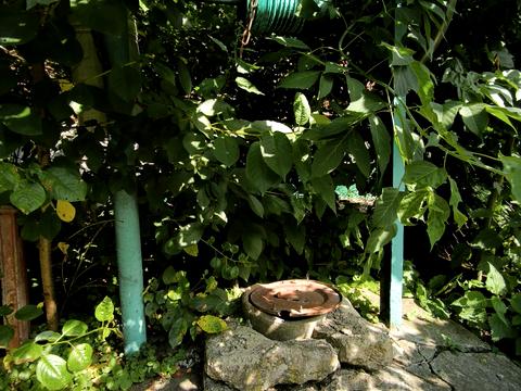 будинок за адресою Івана Виговського, 8