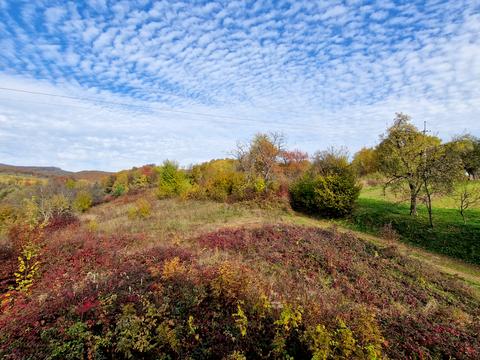 будинок за адресою с. Анталовці, Борканюка