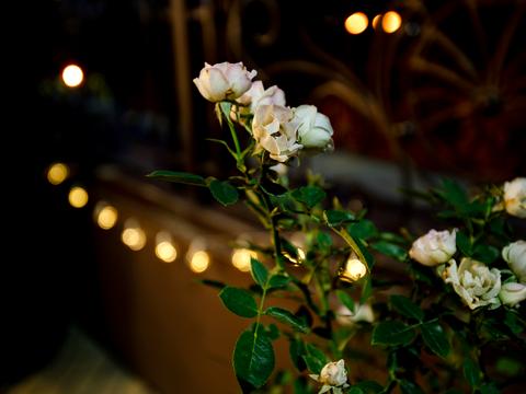 коммерческая по адресу Глубочицкая ул., 32-А