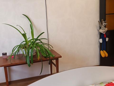 квартира за адресою Развилка, 2