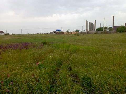 участок по адресу виноградная