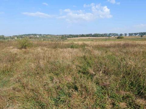 участок по адресу Бочальська