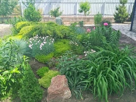 дом по адресу Вегівська