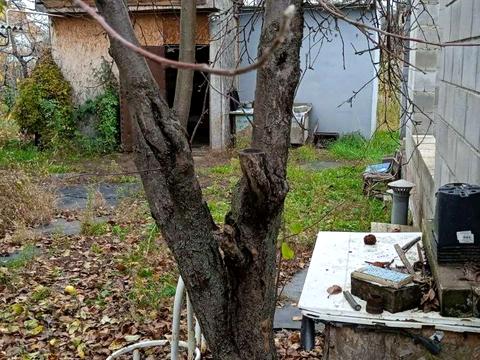 будинок за адресою біліченко, 9